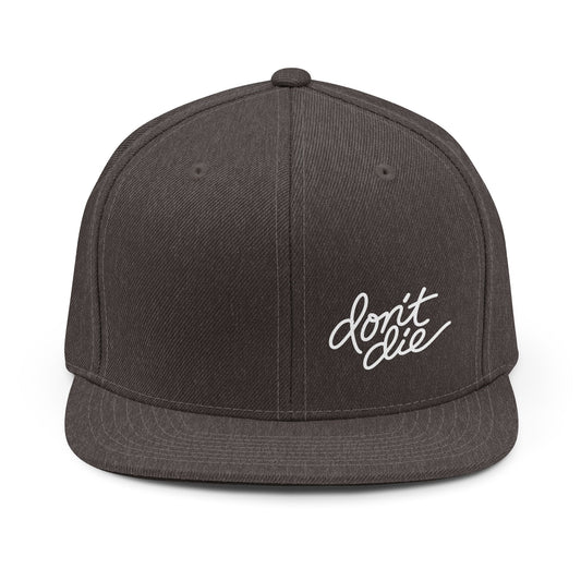 Snapback Hat