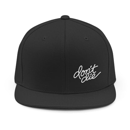 Snapback Hat
